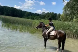 Klub Jeździecki Nawiady - Nauka jazdy konnej