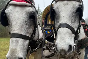 Farma Noego Kajaki Mini zoo Imprezy integracyjne Obozy Kolonie Jazda konna