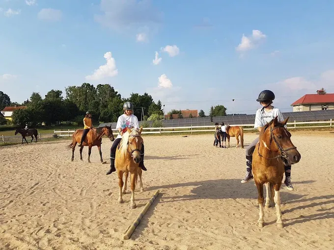 Gospodarstwo Agroturystyczne Jutrzenka - Jazda konna,