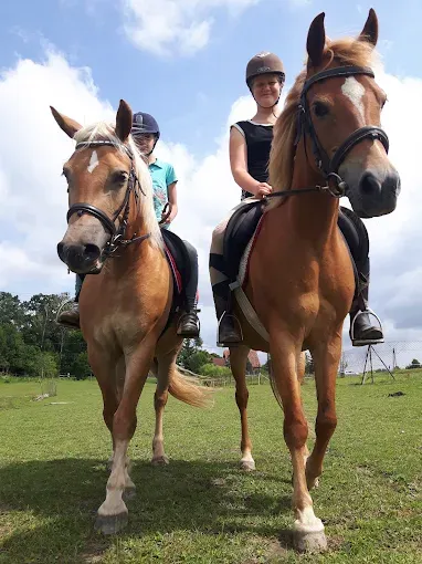 Gospodarstwo Agroturystyczne Jutrzenka - Jazda konna,