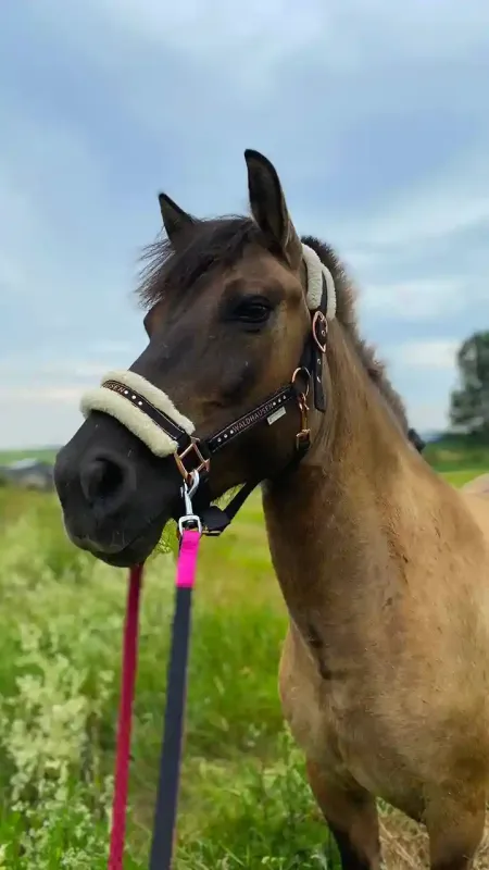 Ośrodek jazdy Konnej „Pod Wzgórzem”