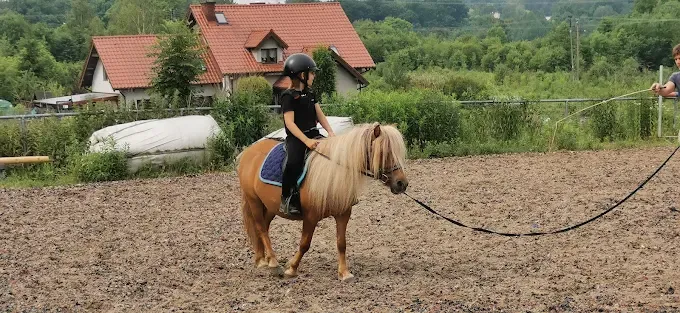 Przygoda z kucykami - Stajnia Kaleidescope, hodowola,jazdy konno, nauka konna, jazda konna, agroturystyka, agrotourism