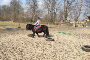 Przygoda z kucykami - Stajnia Kaleidescope, hodowola,jazdy konno, nauka konna, jazda konna, agroturystyka, agrotourism