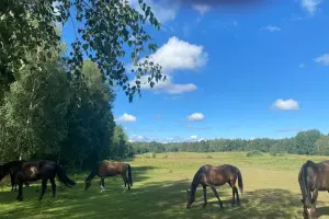 Gospodarstwo Agroturystyczne Pan Tadeusz Krystyna I Tadeusz Żukowscy