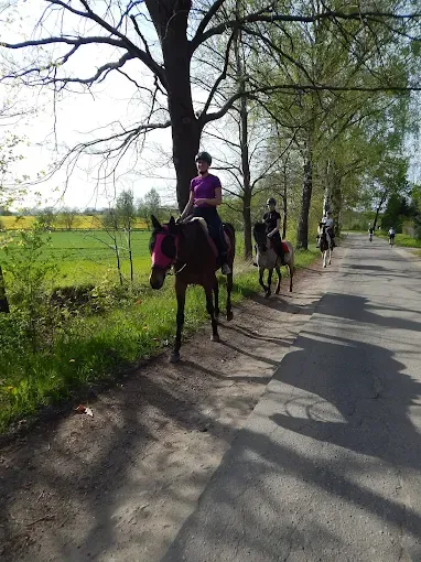 Stajnia Cztery Wiatry