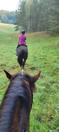 JAZDA KONNA HIPOTERAPIA Olsztyn