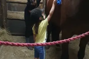 Stajnia "Pod Olchą"