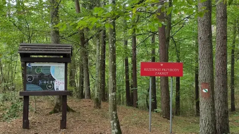 Zakręt