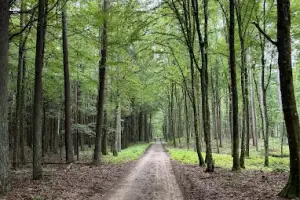 Mazurski Park Krajobrazowy