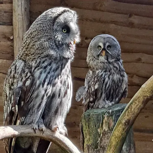 Park Dzikich Zwierząt