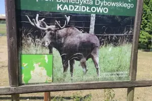 Park Dzikich Zwierząt