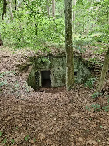 Szlak Fortyfikacji Szczycieńskiej Pozycji Leśnej