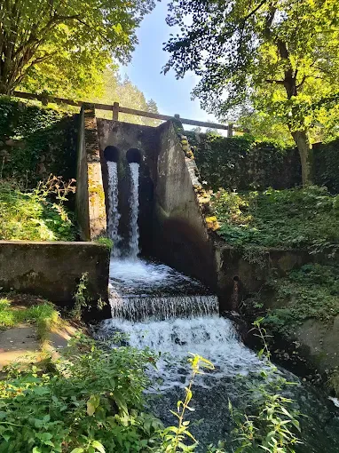 Źródła Rzeki Łyny