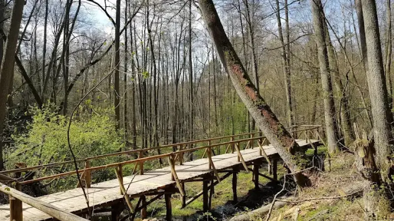 Źródła Rzeki Łyny