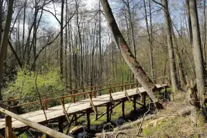 Źródła Rzeki Łyny