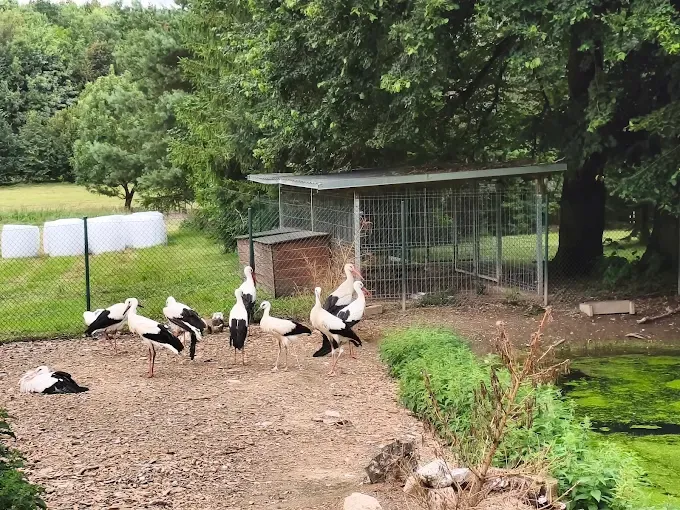 Park Krajobrazowy Wzgórz Dylewskich