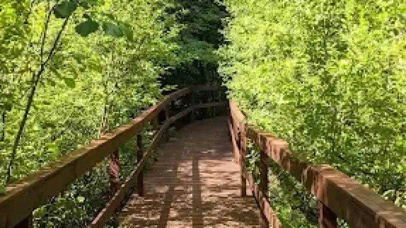 Park Krajobrazowy Wzgórz Dylewskich