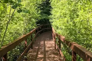 Park Krajobrazowy Wzgórz Dylewskich