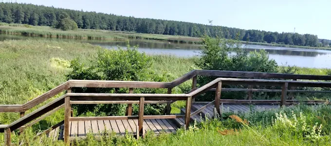 Ścieżka edukacyjna wokół stawu w Pieckach