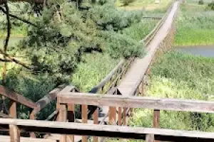 Ścieżka edukacyjna wokół stawu w Pieckach