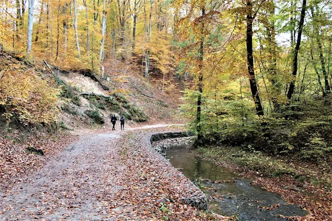 Park Krajobrazowy Wysoczyzny Elbląskiej