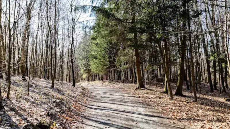 Park Krajobrazowy Wysoczyzny Elbląskiej
