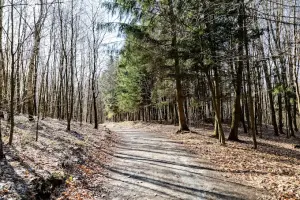 Park Krajobrazowy Wysoczyzny Elbląskiej