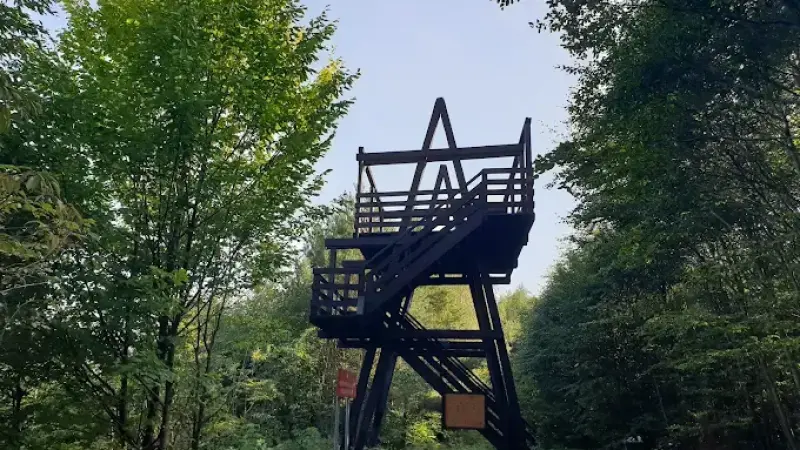 Wieża widokowa nad Drwęcą