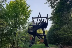 Wieża widokowa nad Drwęcą