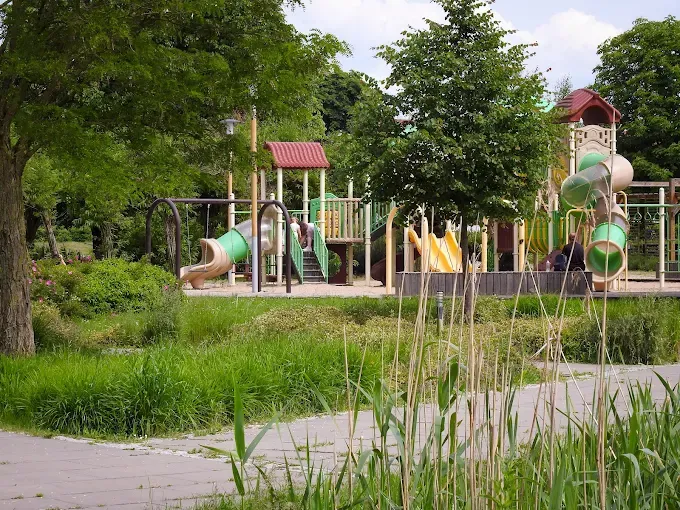 Wieża widokowa w Zalewie