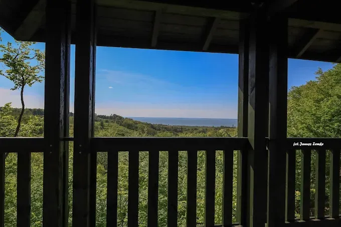 Wieża widokowa - Kadyński Las