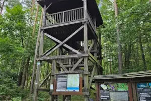 wieża widokowa Jezioro Neliwa