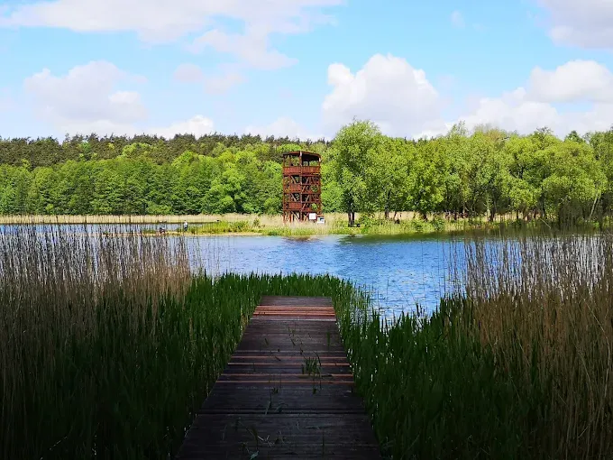 Wieża widokowa w Lidzbarku Welskim