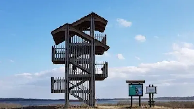 Wieza widokowa jezioro Łuknajno
