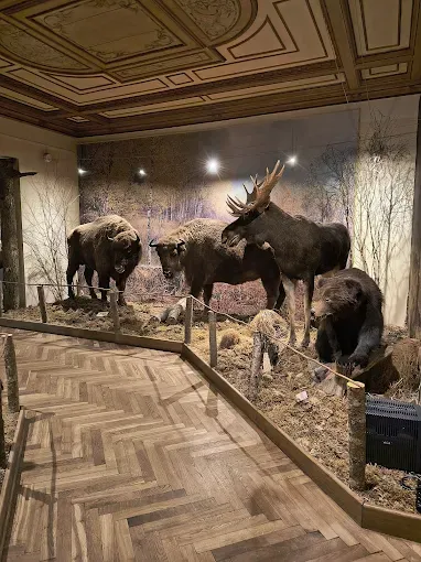 Muzeum Przyrody - Oddział Muzeum Warmii i Mazur