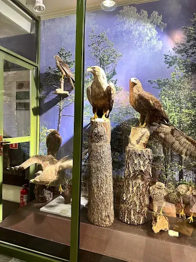 Muzeum Ziemi Piskiej