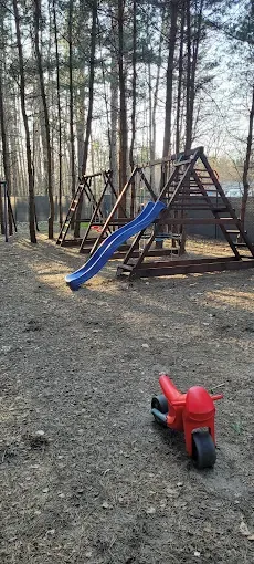 Forest Park Dywity - Park Leśny