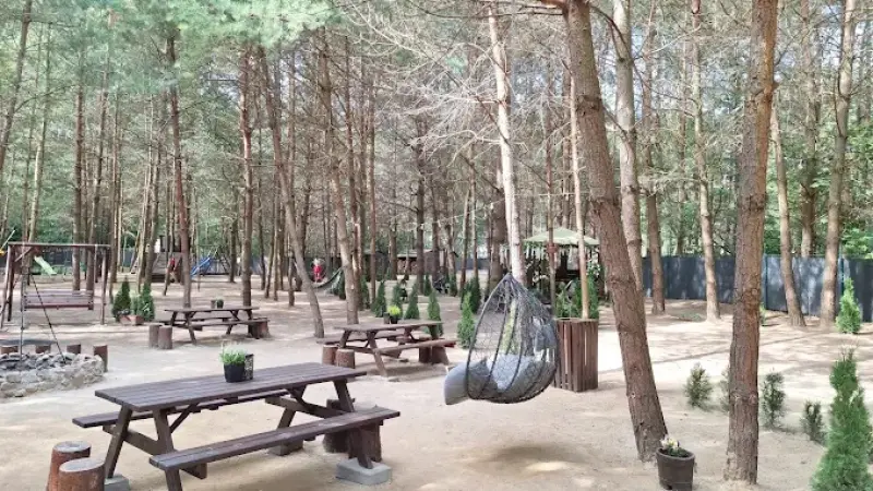 Forest Park Dywity - Park Leśny