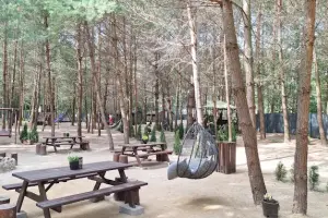 Forest Park Dywity - Park Leśny