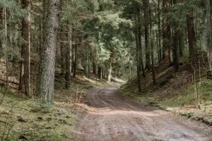 Rezerwat przyrody Mazury