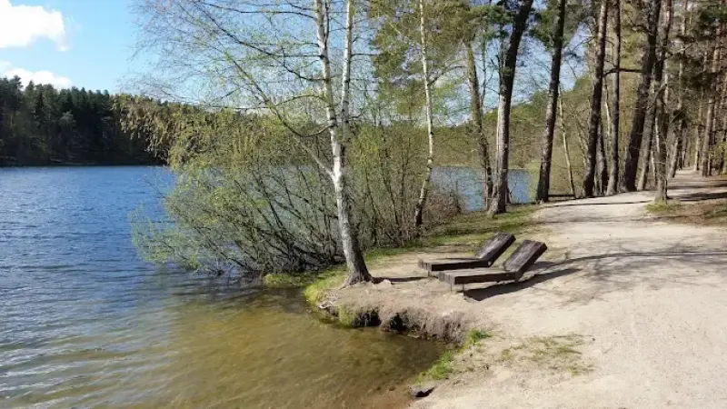 Rezerwat torfowiskowy "Mszar"