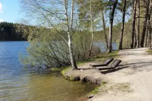 Rezerwat torfowiskowy "Mszar"