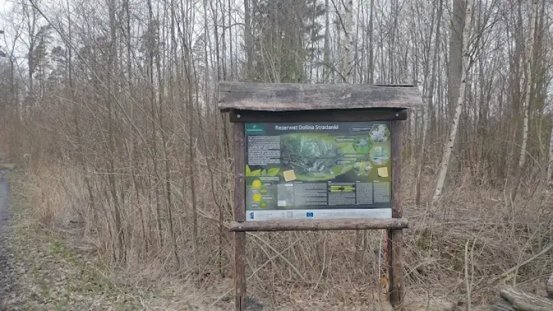Rezerwat przyrody Dolina Stradanki