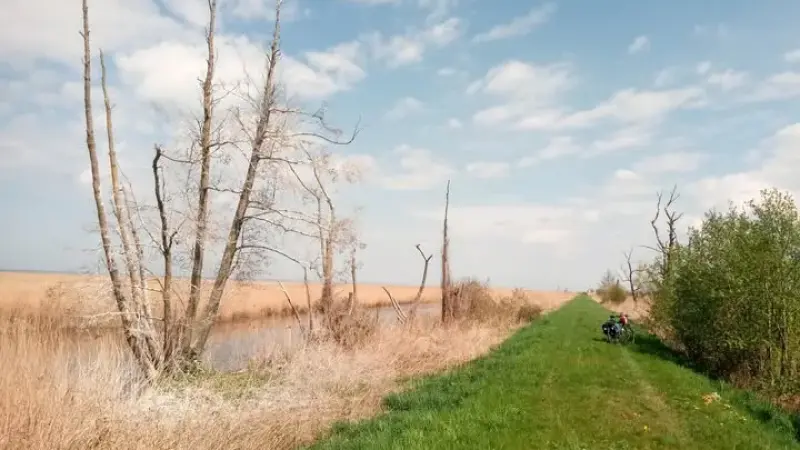 Rezerwat przyrody Ujście Nogatu