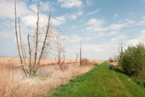 Rezerwat przyrody Ujście Nogatu