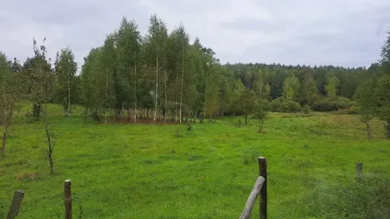 Rezerwat przyrody Boczki