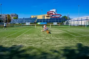 Korty tenisowe trawiaste MOSiR