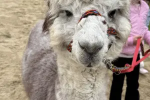 Umili Ruciane Park - Mazury resort & spa - Domki na mazurach