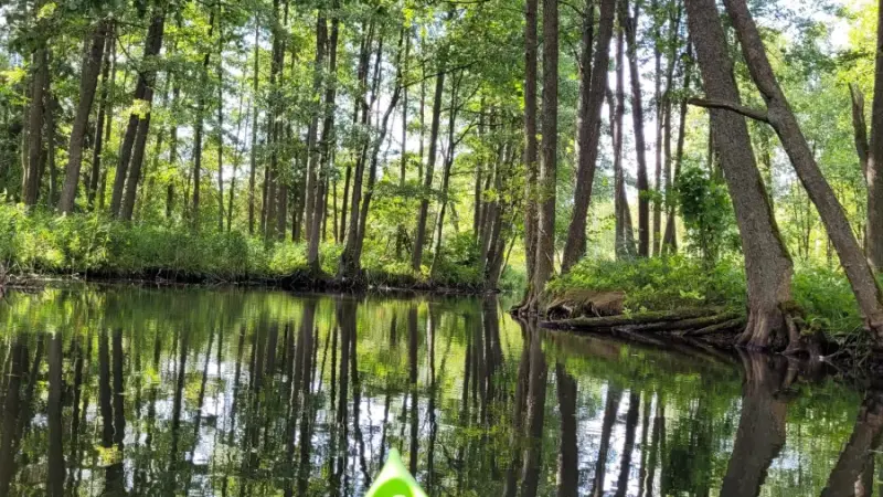 spływy Kajakowe Mazury - kajaki Węgorzewo