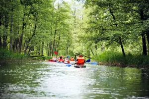 Kajaki Sapina - Spływy kajakowe